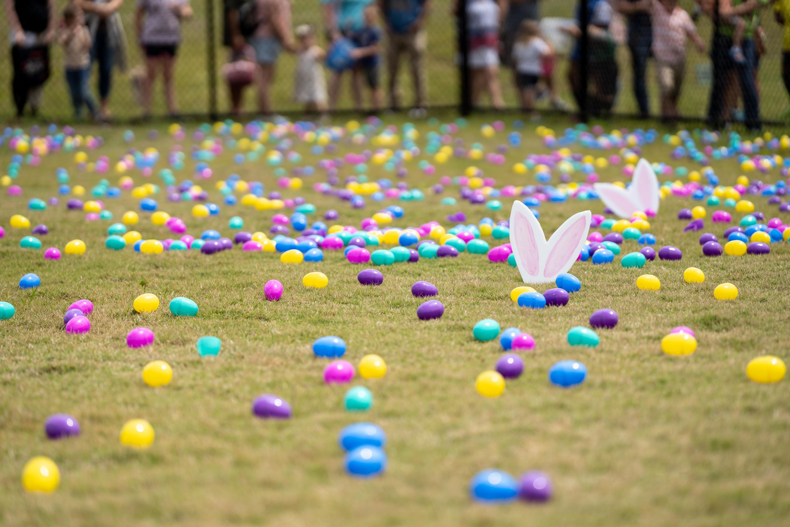 Easter eggs scattered across a park